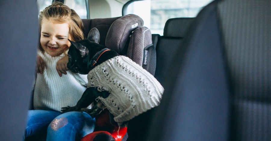 Игры на майские праздники: как превратить дорогу в семейное приключение