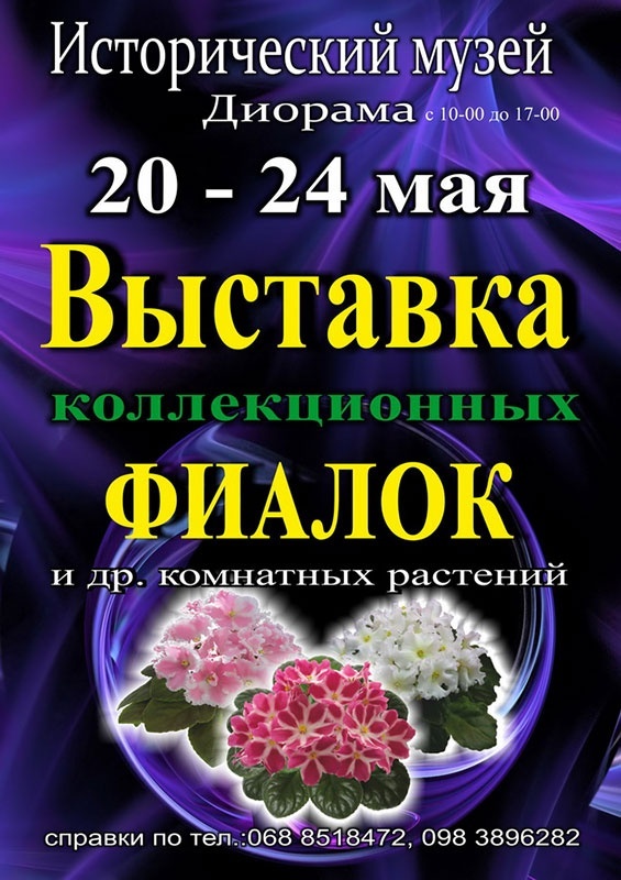 Цветоводам и просто любителям прекрасного - выставка фиалок! Цветоводам и просто любителям прекрасного - выставка фиалок!