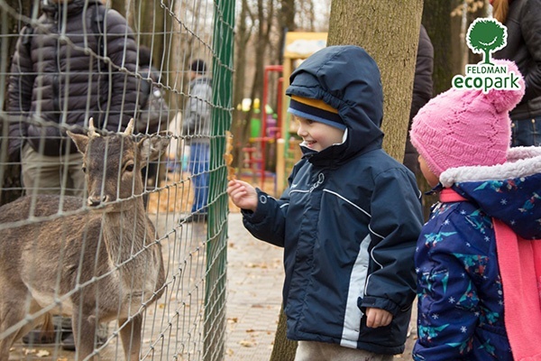 Всемирный день ребенка и День приветствий в Feldman Ecopark Всемирный день ребенка и День приветствий в Feldman Ecopark