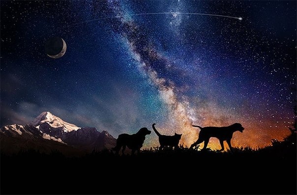 Афиша Планетария на 12-13 декабря Афиша Планетария на 12-13 декабря