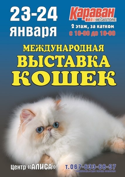 Международная выставка кошек в ТРЦ "Караван"