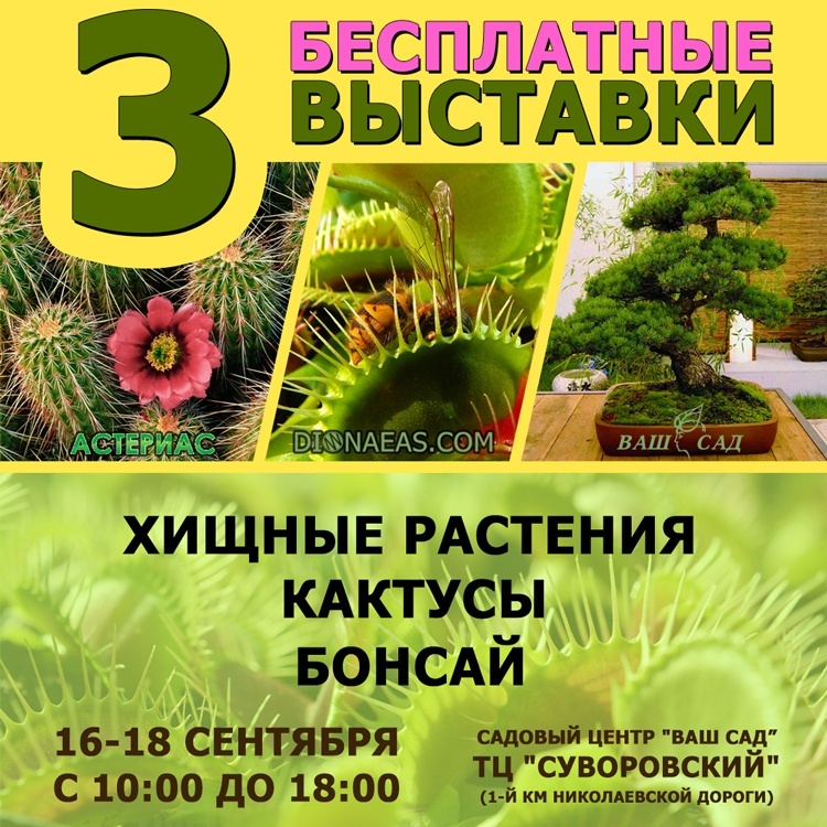 Бесплатные выставки экзотических растений