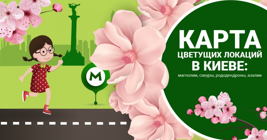 Время для ярких селфи: в Киеве цветут сакуры и магнолии