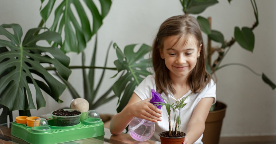 Комнатные растения для детей: что посадить и как ухаживать