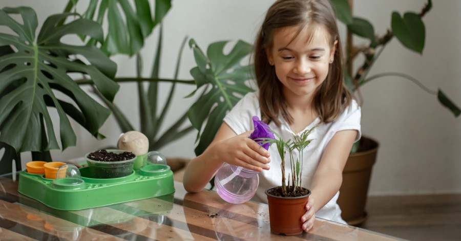 Садоводство для детей: что можно вырастить дома на подоконнике