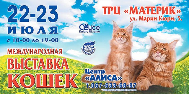 Международная выставка кошек Международная выставка кошек